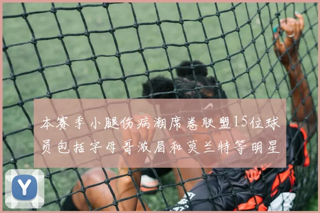 本赛季小腿伤病潮席卷联盟15位球员包括字母哥浓眉和莫兰特等明星球员